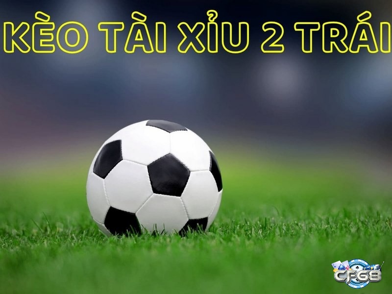 Kèo tài xỉu 2 trái là hình thức cược thu hút sự quan tâm của nhiều người